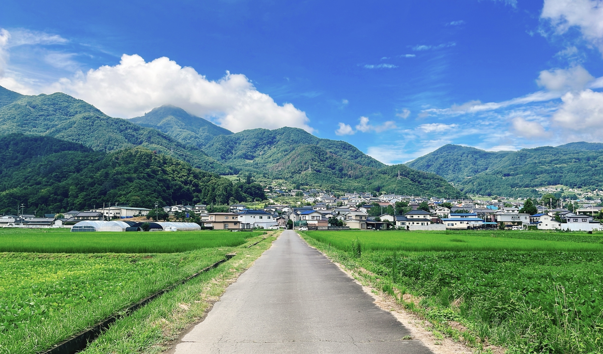 都内で不動産売却後に地方移住する注意点や静岡県の支援制度を紹介